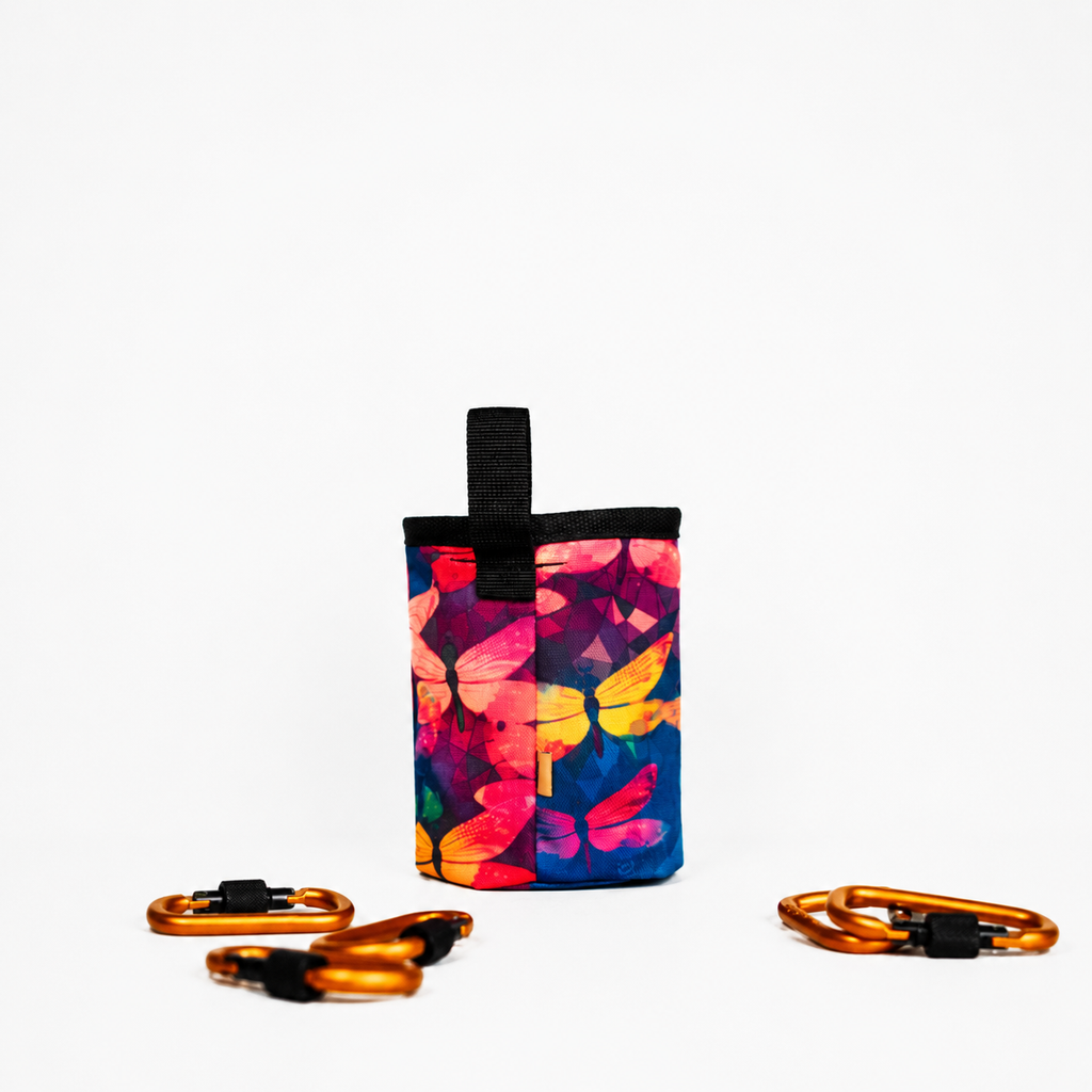 "Dragonfly" Chalk Bag