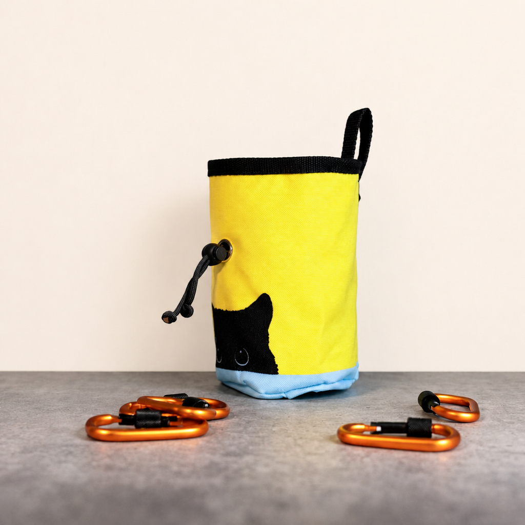 Black Cat Chalk Bag
